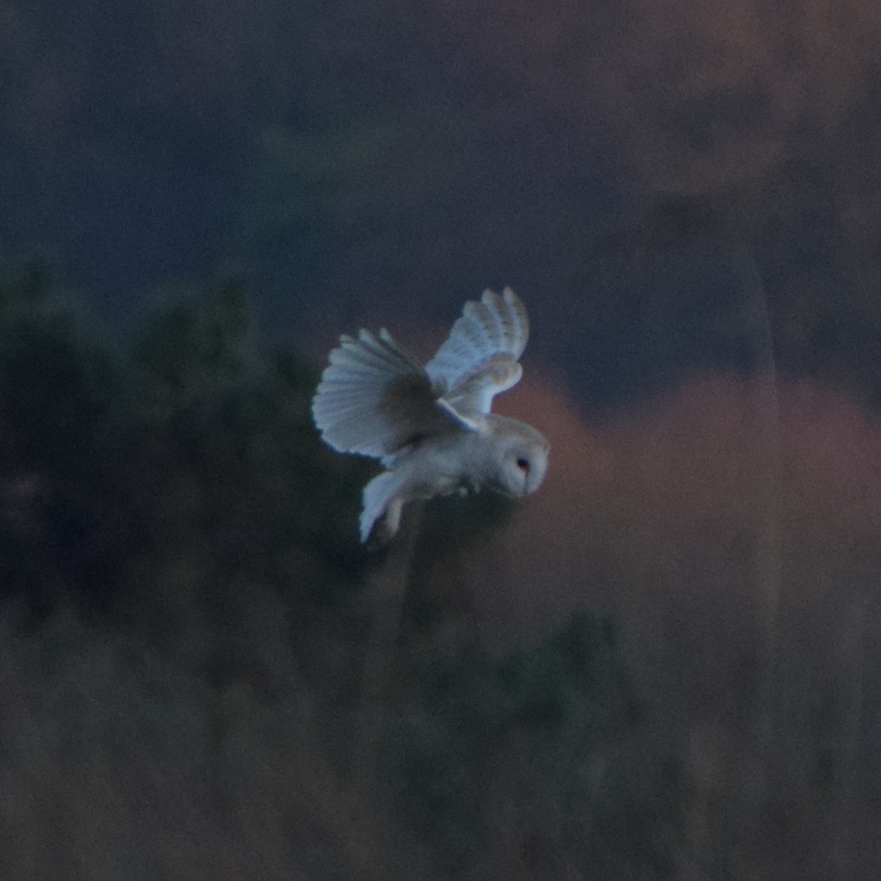 Favourite Nature Photography